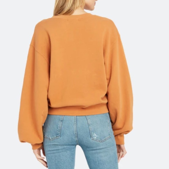 AGOLDE V Neck Balloon Sleeve Sweatshirt in Umber - Picture 10 of 16